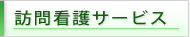 �K����T�[�r�X